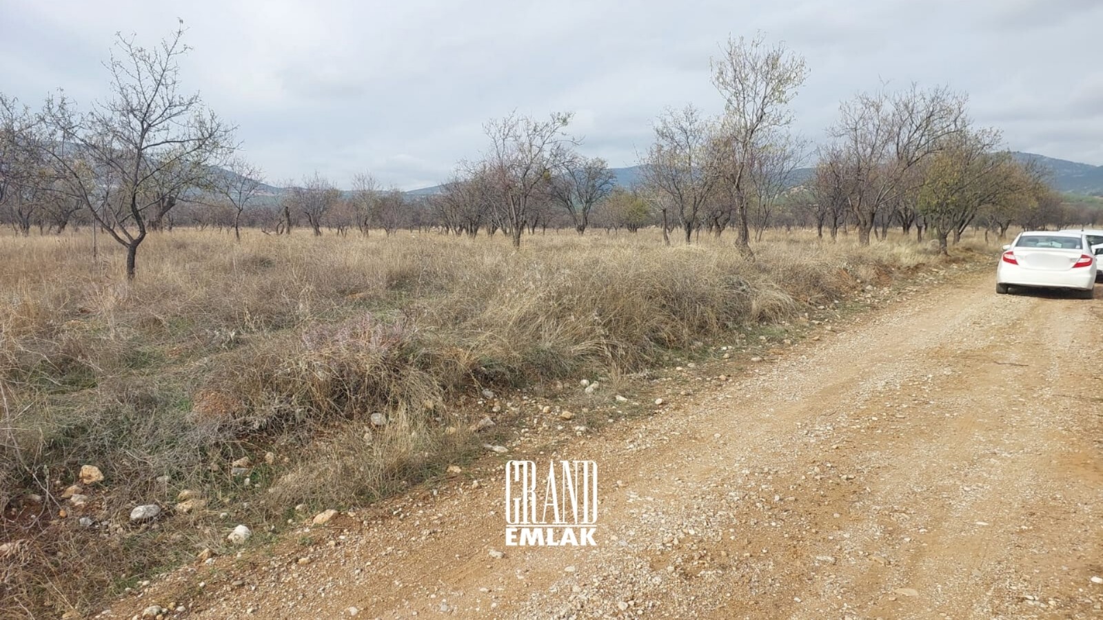 Investment Opportunity in Isparta Senir Village: Cadastral Roadside Field — Senir/Keçiborlu, Isparta