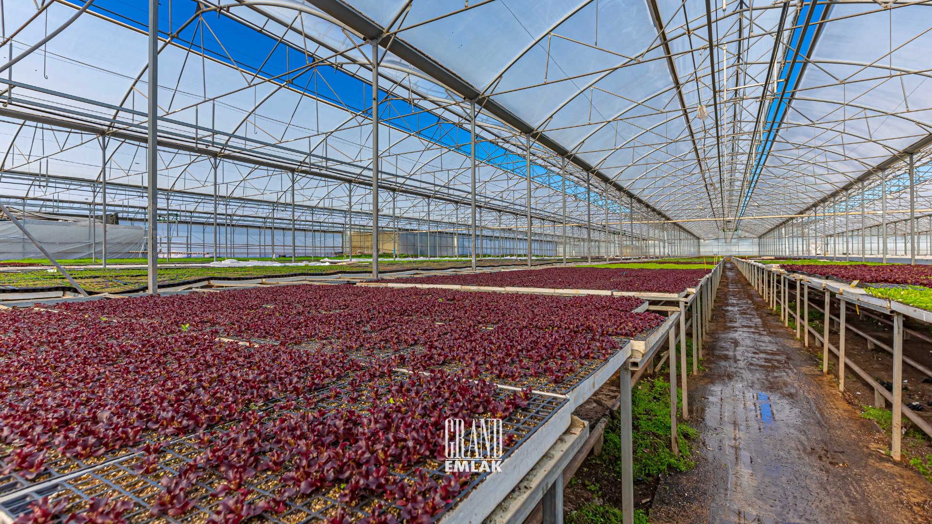 30,5 decares of land and greenhouse for sale in Antalya, Serik, Deniztepe — Deniztepesi, Serik, Antalya