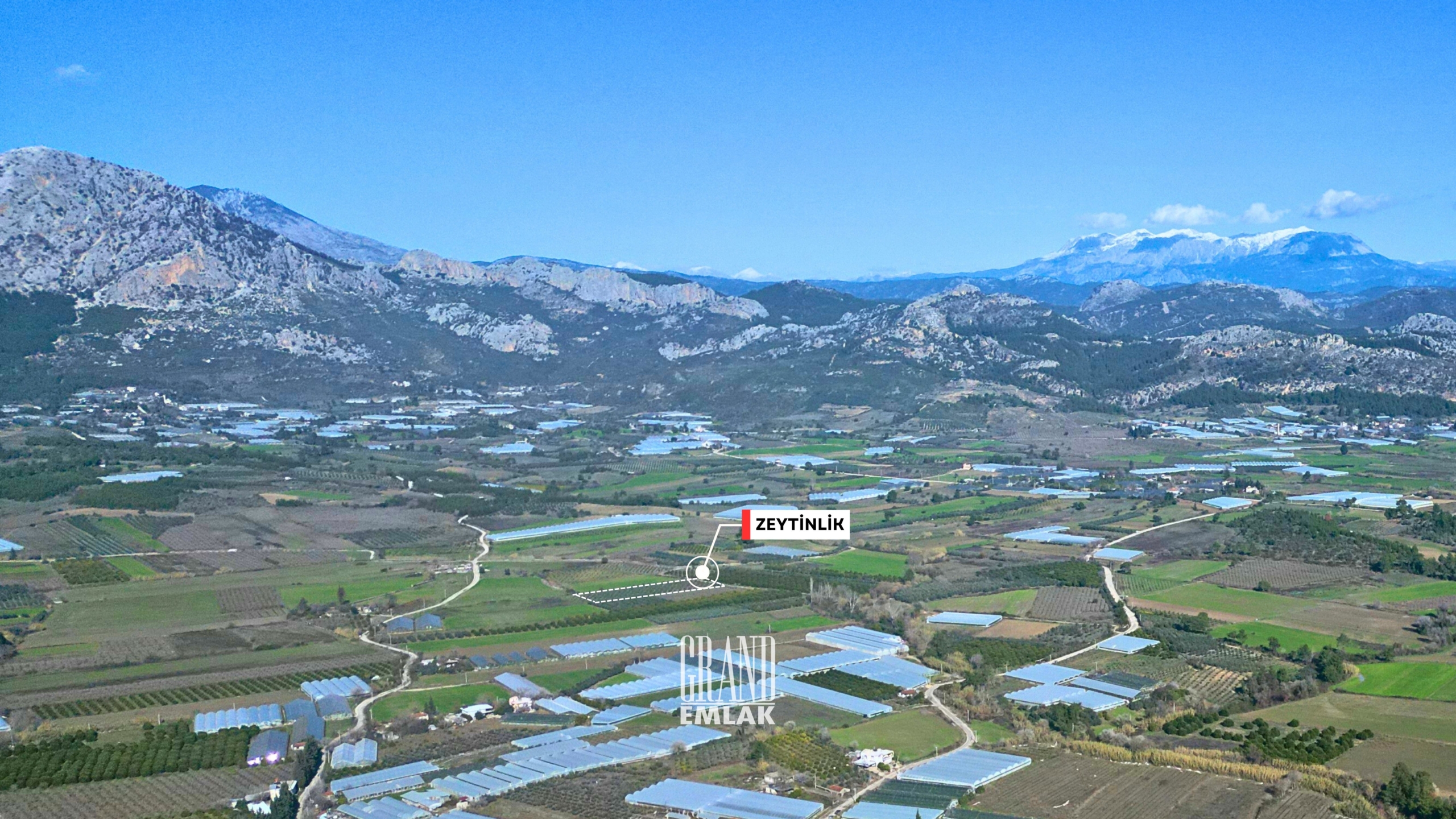 1,790 m² Olive Oil Grove for Sale with Vehicle Exchange in Serik, Kuşlar — Kuşlar, Serik, Antalya