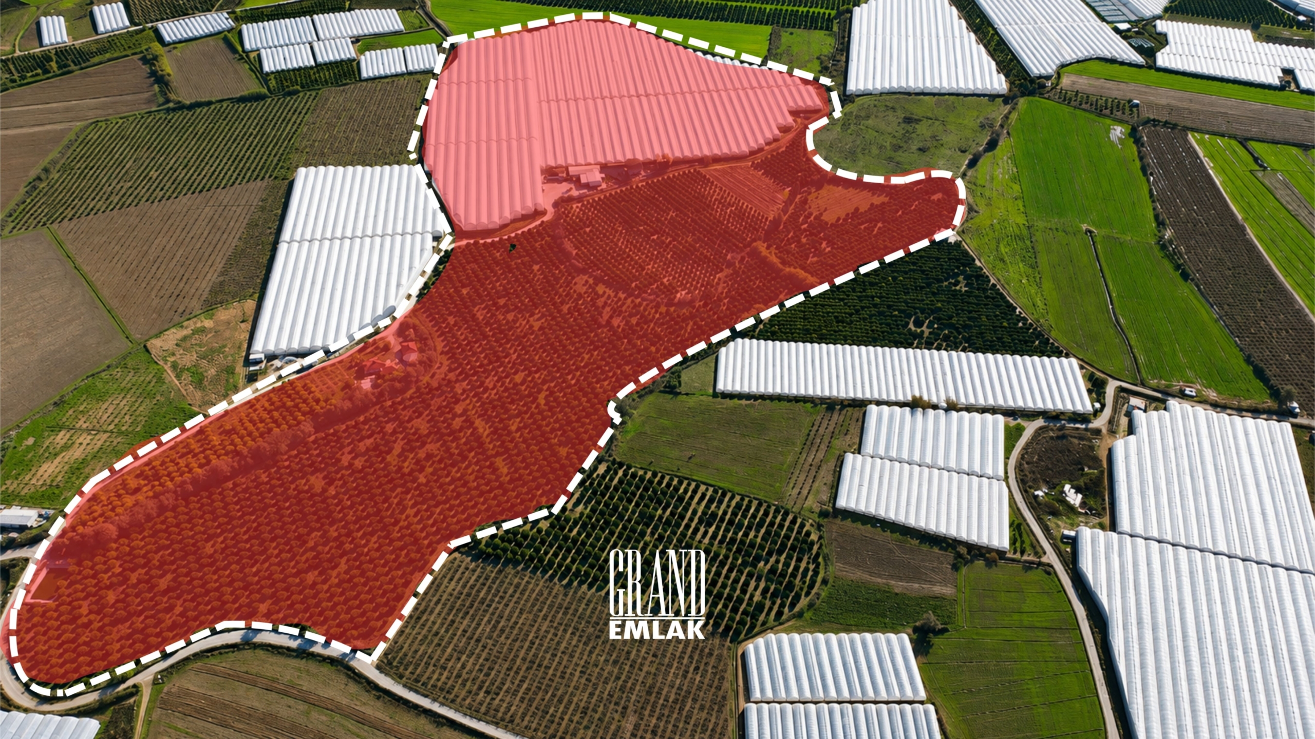 Investment Opportunity in Serik Çandır! 267 Decares of Citrus Garden with 116 Decares of Greenhouse Area for Sale — Çandır, Serik, Antalya